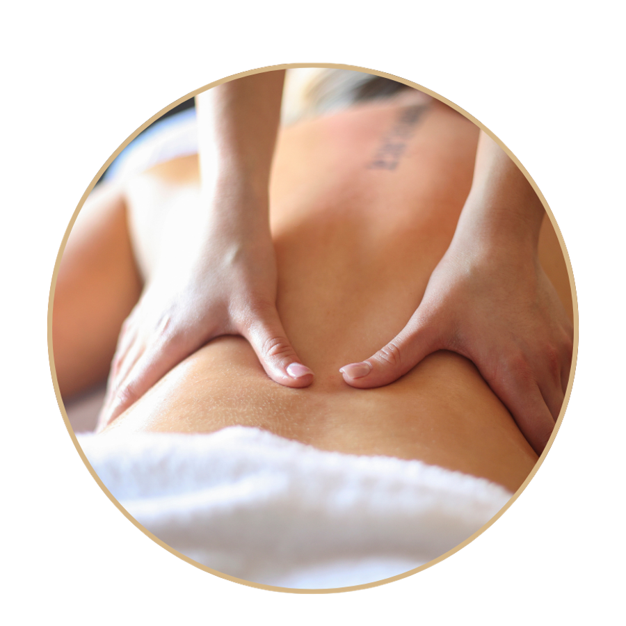 Hero Image for Restore Function & Support Wellness